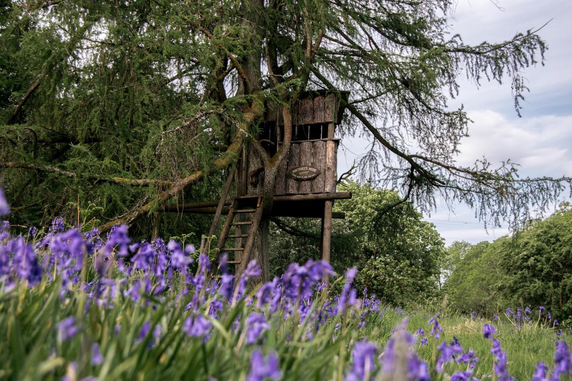 Hotel Wild Boar Estate Bowness-on-Windermere Exteriér fotografie